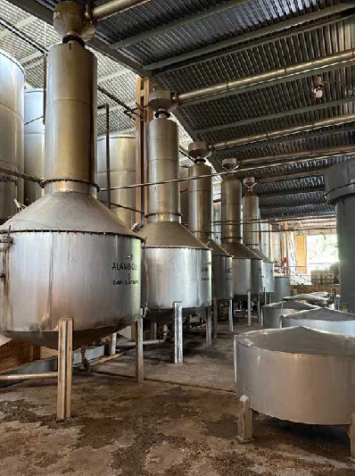 Granalta Tequila: A story of culture, craft and collaboration