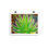 Thumbnail: "El Agave" Print Poster 