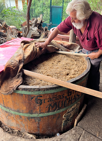 Agave Fermentation with Luis Arellanes Cruz