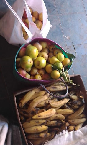 Baskets with Bananas, Apples, Oranges for Pechuga Oaxaqueno Distillation