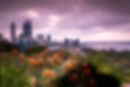 perth-city-from-kings-park-western-australia-australia_l.jpeg
