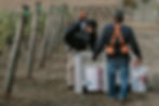 ThackeryVineyard_FavPixPhotography-6355
