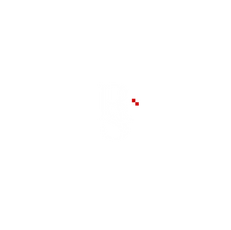 IMG_9467.PNG