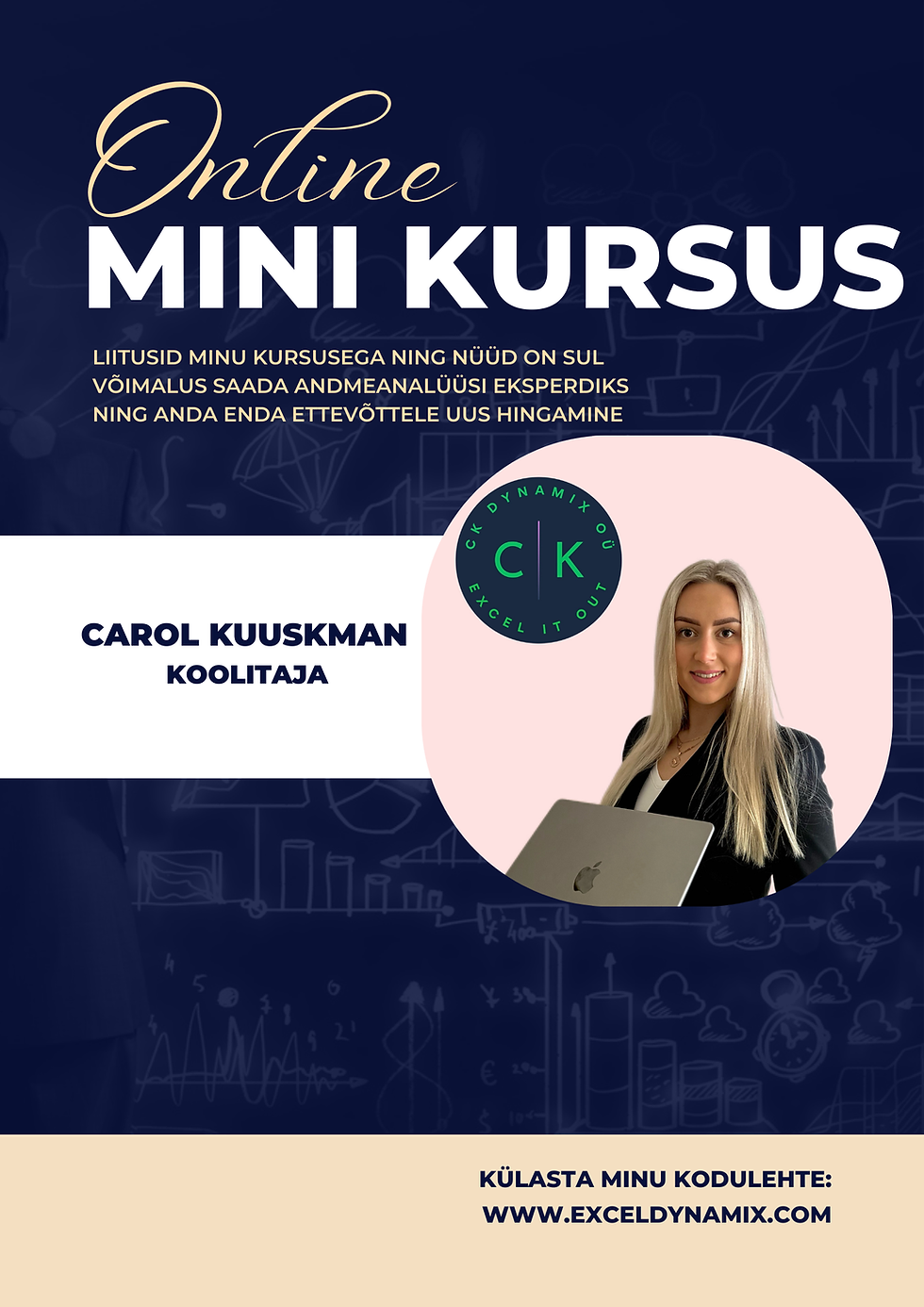 Mini Exceli kursus (Online)