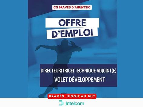 Offre d'emploi : Directeur(trice) technique adjoint(e) - Volet développement