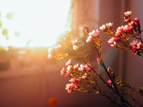 Rediscovering Worthiness in an Intuitive Energy Healing Session 