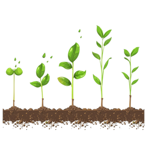 Floating, Finding, Growing: A Career Journey Revisited