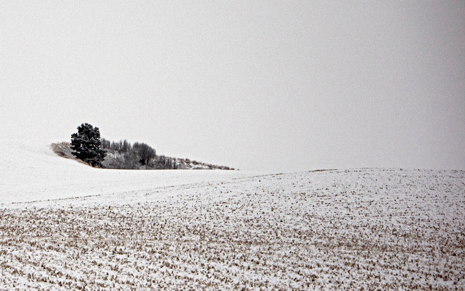 Winter Wonderland 15