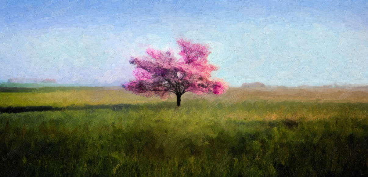 Digital Painting 16