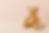 MEMORY BEAR.png