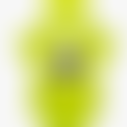 Disney Cosplay Baby Bodysuit and Hat Set Newborn to Infant Sizes (Newborn - 24 Months)