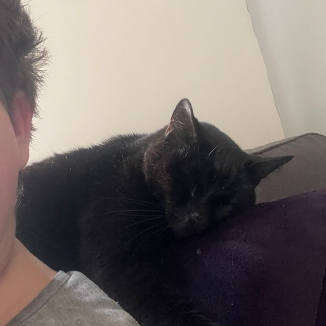 Jasper made sure I had lots of cuddles too! Excuse the messy hair - it only grew to be longer and far more disheveled because I was too unwell to sit for a haircut.