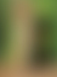 You don’t need a different body.  You need better illusions.