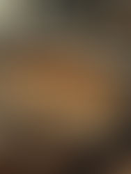 No Fuss No Bake Marty No Bake Supreme Cheesecake Recipe