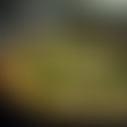 Quick and Nutritious Broccoli Frittata Recipe For You!