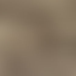 Book of Tobit Summary: God Sees in the Exile