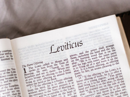 Leviticus Summary: Holiness in the Details
