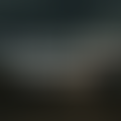 The Rape of Dinah: Sin, Vengeance, and Misused Zeal