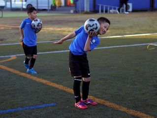 スクールレポート11月②