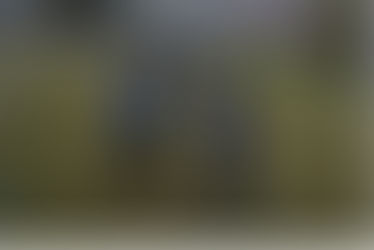 スクールレポート11月①