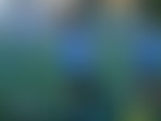 スクールレポート11月③