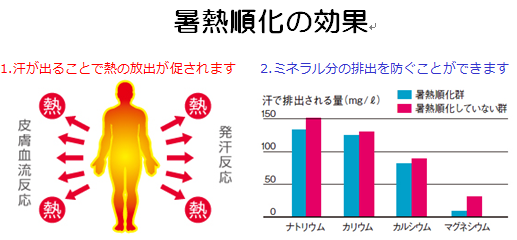 熱中症対策 ~その1 暑熱順化~