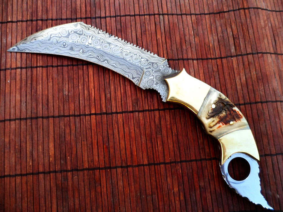 SAM_3909 (Large).JPG