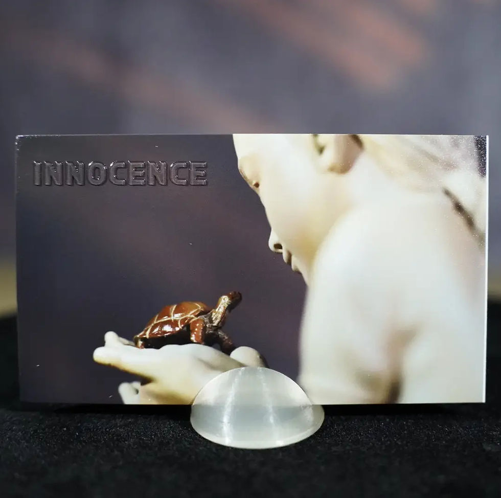 Présentoir pour figurines personnalisée