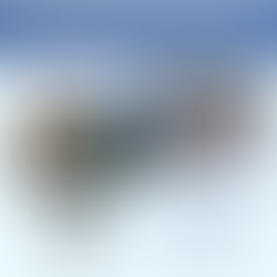 A Day In The Life Of the Indian River Lagoon October 9, 2025