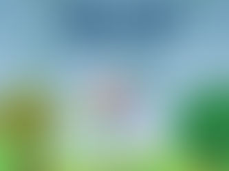 Field Day March 10th 2023!!