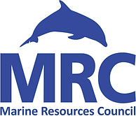 logo-mcr-2023-blue-nourl.png