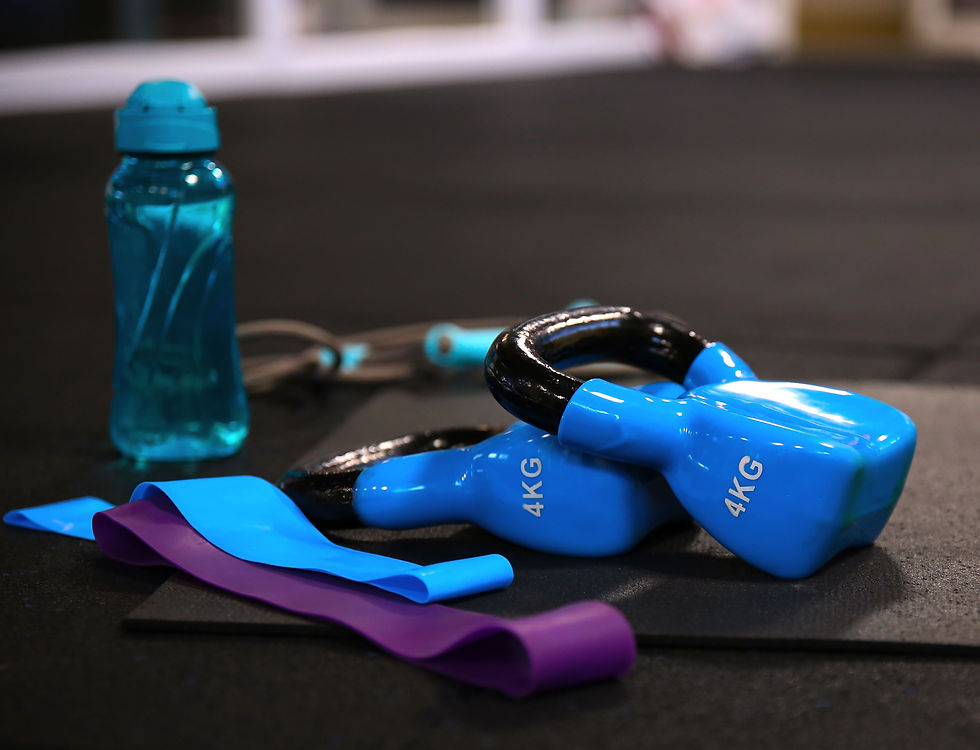 Vienkartinis apsilankymas sporto salėje