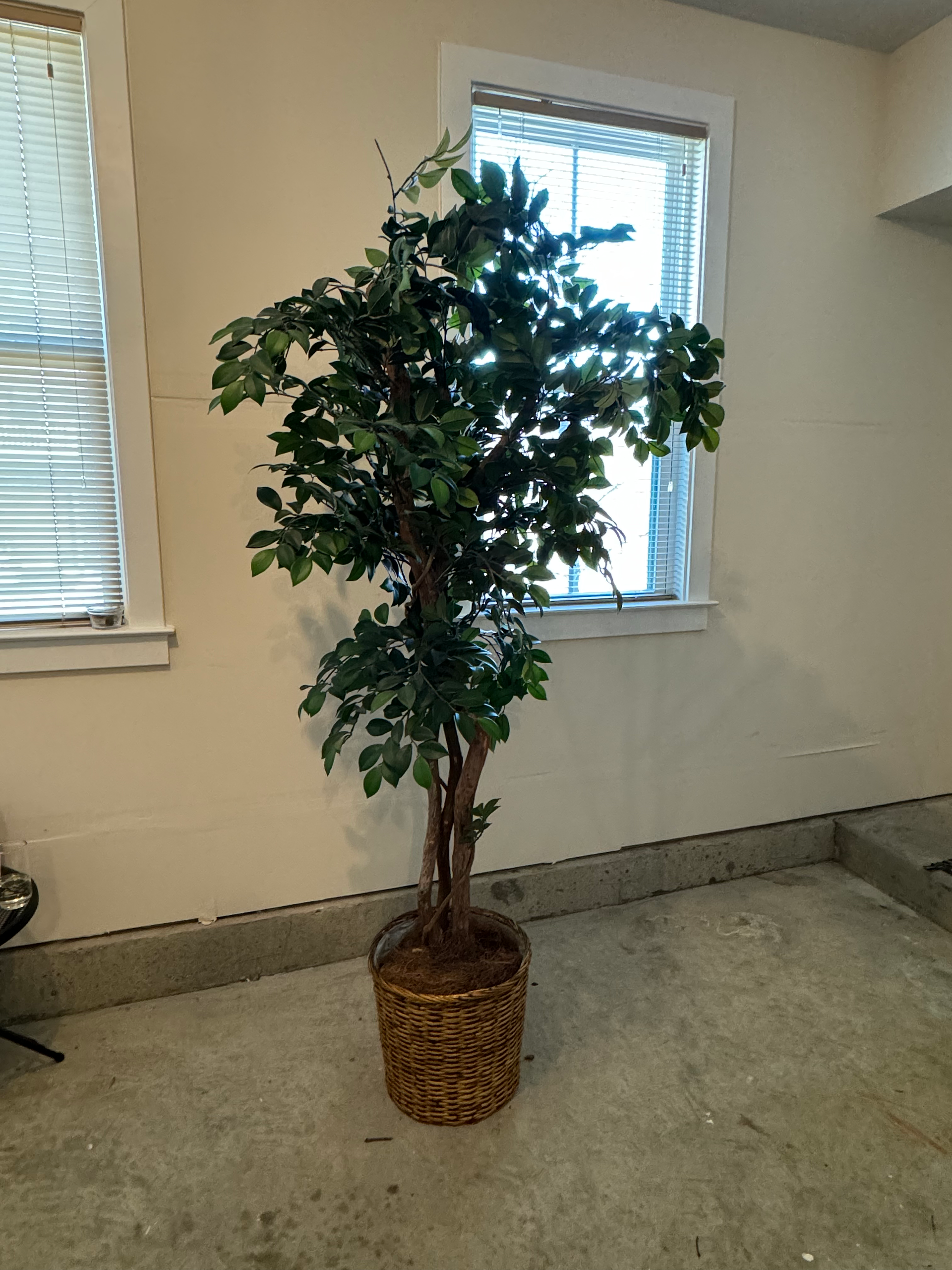 An old fake tree that will have its leaves removed 