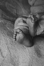 Newborn fotografie landshut 