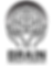 BRAIN research foundation