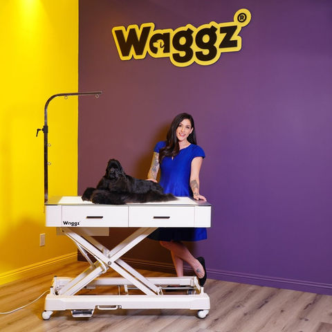 a woman stands next to a table with a dog on it in front of a waggz sign
