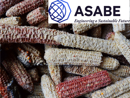 Hydrothermal Conversion of Corn Cobs and Crude GlycerolBiological Engineering · Feb 1, 2010