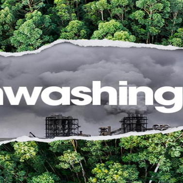 Greenwashing and Overconsumption: The Illusion of Green Fashion