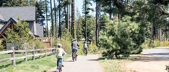 IMG_6853 (1)_edited_edited.jpg