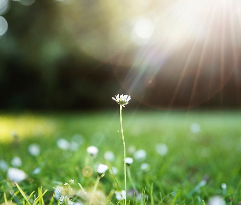 明晴、院出、殯儀館、土葬、綜援、殮葬