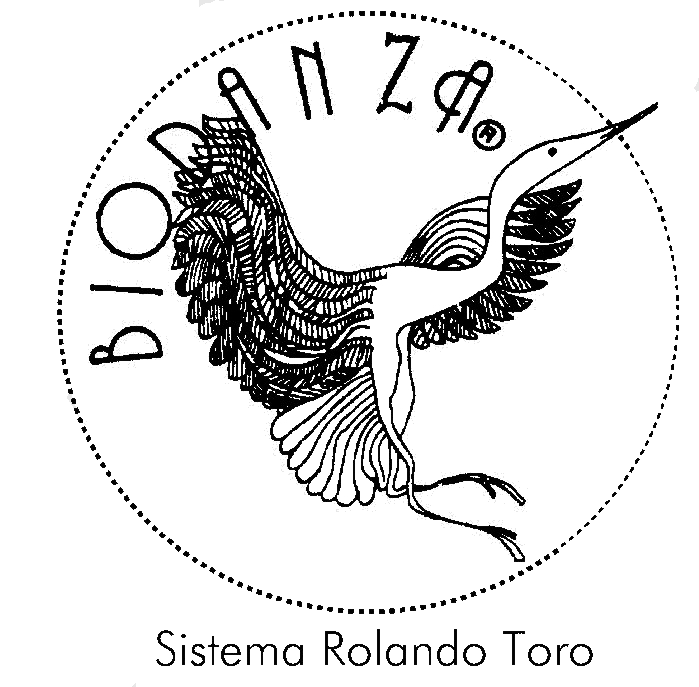 Logotipo Fondo Transparente.gif