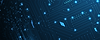 hero-software-grid.png
