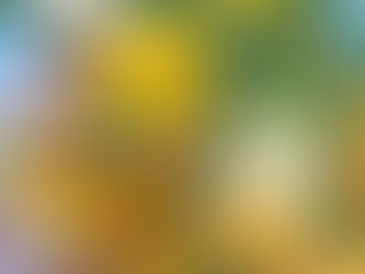 わたなべ耳鼻咽喉科医院 院長就任のご挨拶