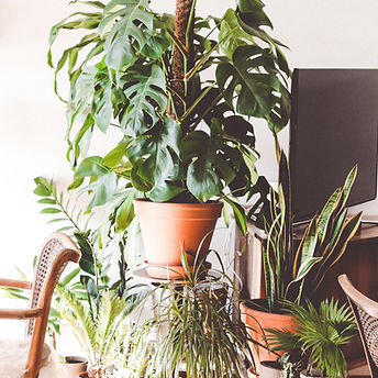 Indoor Flowerpots