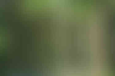 DSC01396