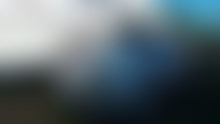 Temporada 2021: Renovado y muy racing "Fusca" de RRSS