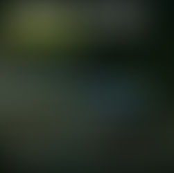 Rally Sierras del Yerbal - Fotos