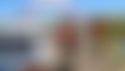 Elecciones: como emitir el voto el 28/01/2021