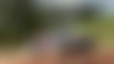 Temporada 2021: cambio de fecha calendario