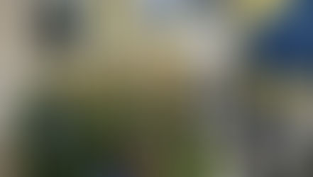 FINAL RALLY DE TALA 2024